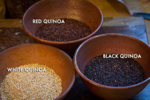 ranchogordO_QUINOA_1024x1024