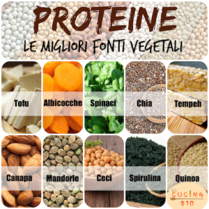proteine_vegetali